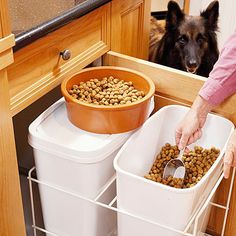 food storage dog