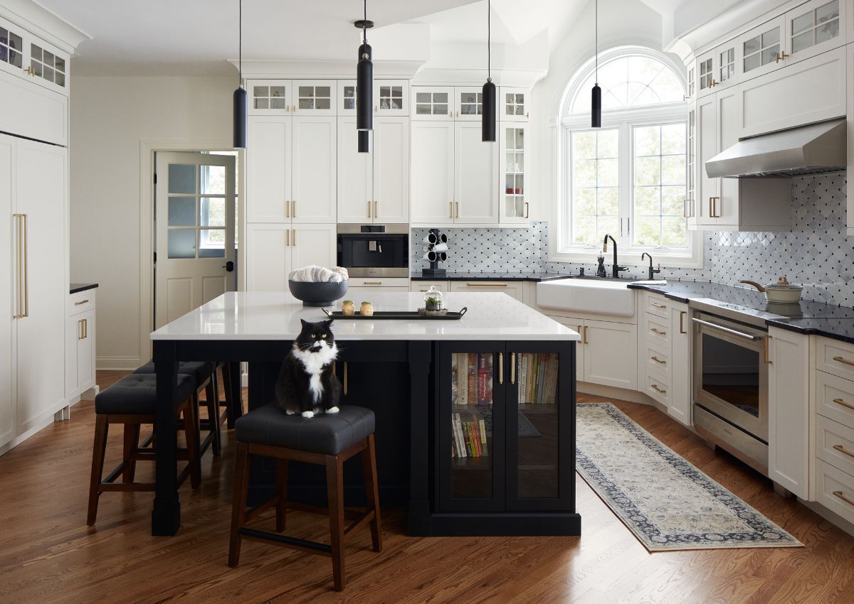 Image of a renovated kitchen in Ambler. A black and white cat sits on a stool in the renovated kitchen